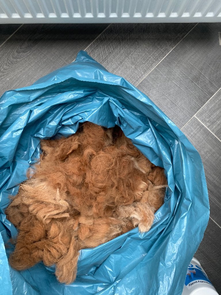 Alpaca wol van onze alpaca Gina, 1,8 kilo, Hobby en Vrije tijd, Ophalen of Verzenden, Nieuw, Spinwol