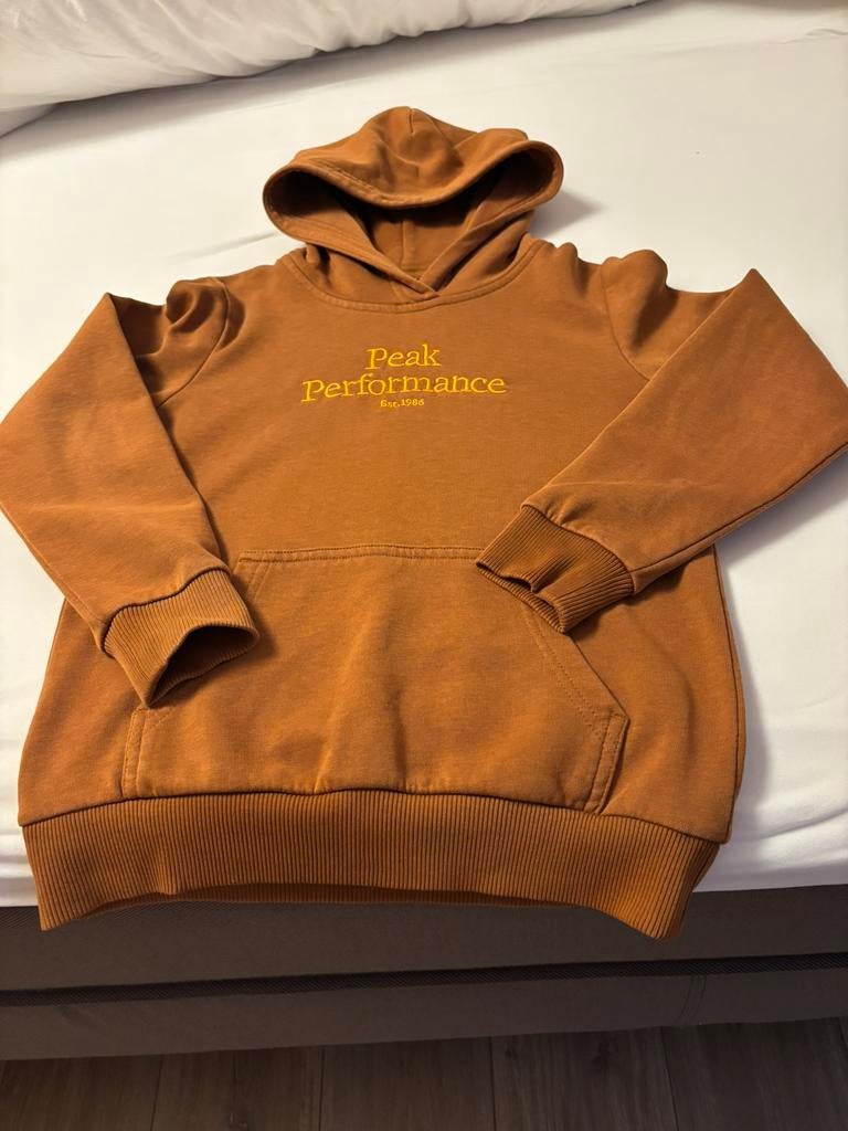 Peak Performance trui met capuchon, maat 140, Ophalen of Verzenden, Zo goed als nieuw, Jongen, Trui of Vest