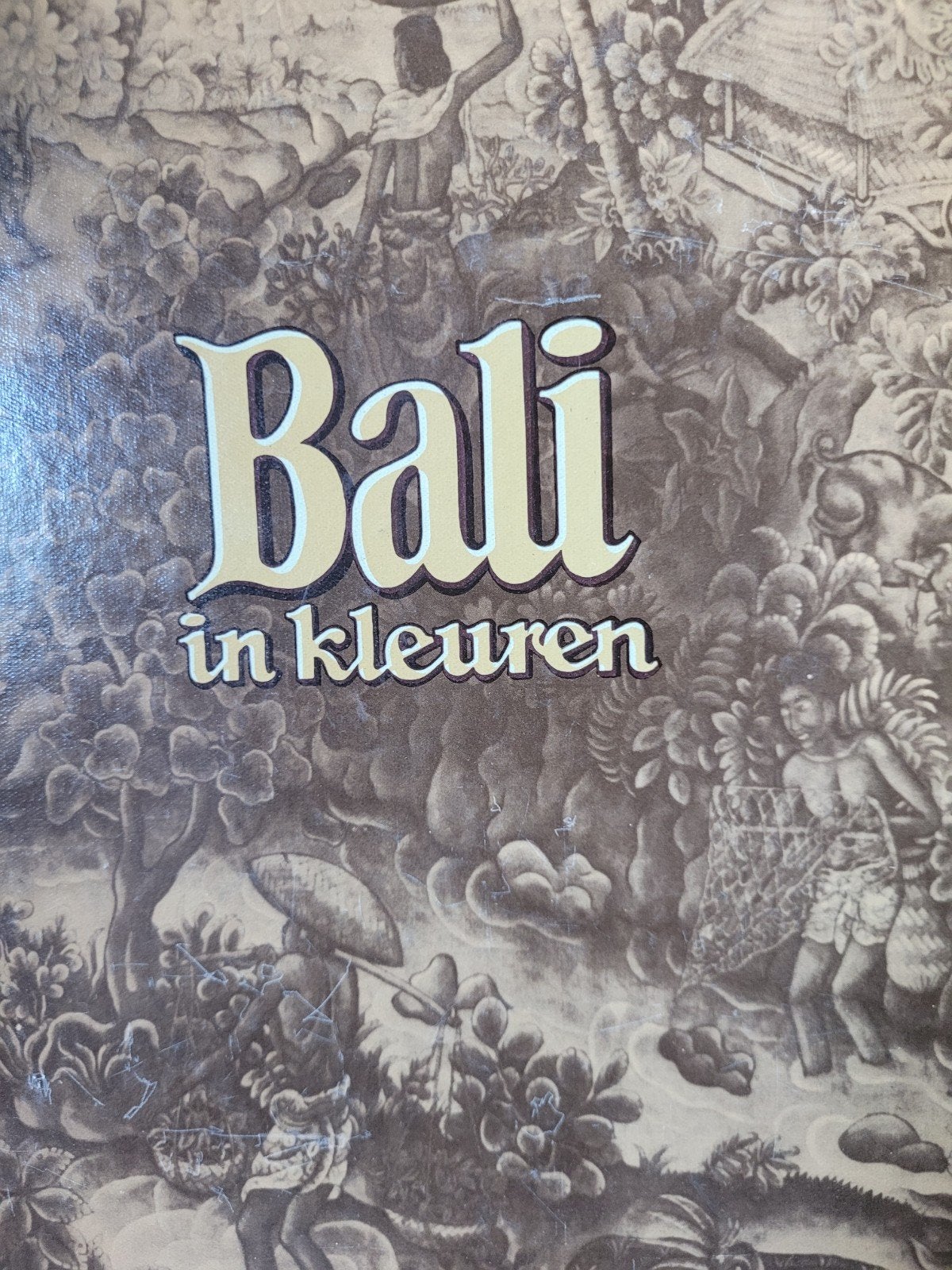 Bali in kleuren - Reisgids, Verzenden, Reisgids of -boek, Azië, Gelezen