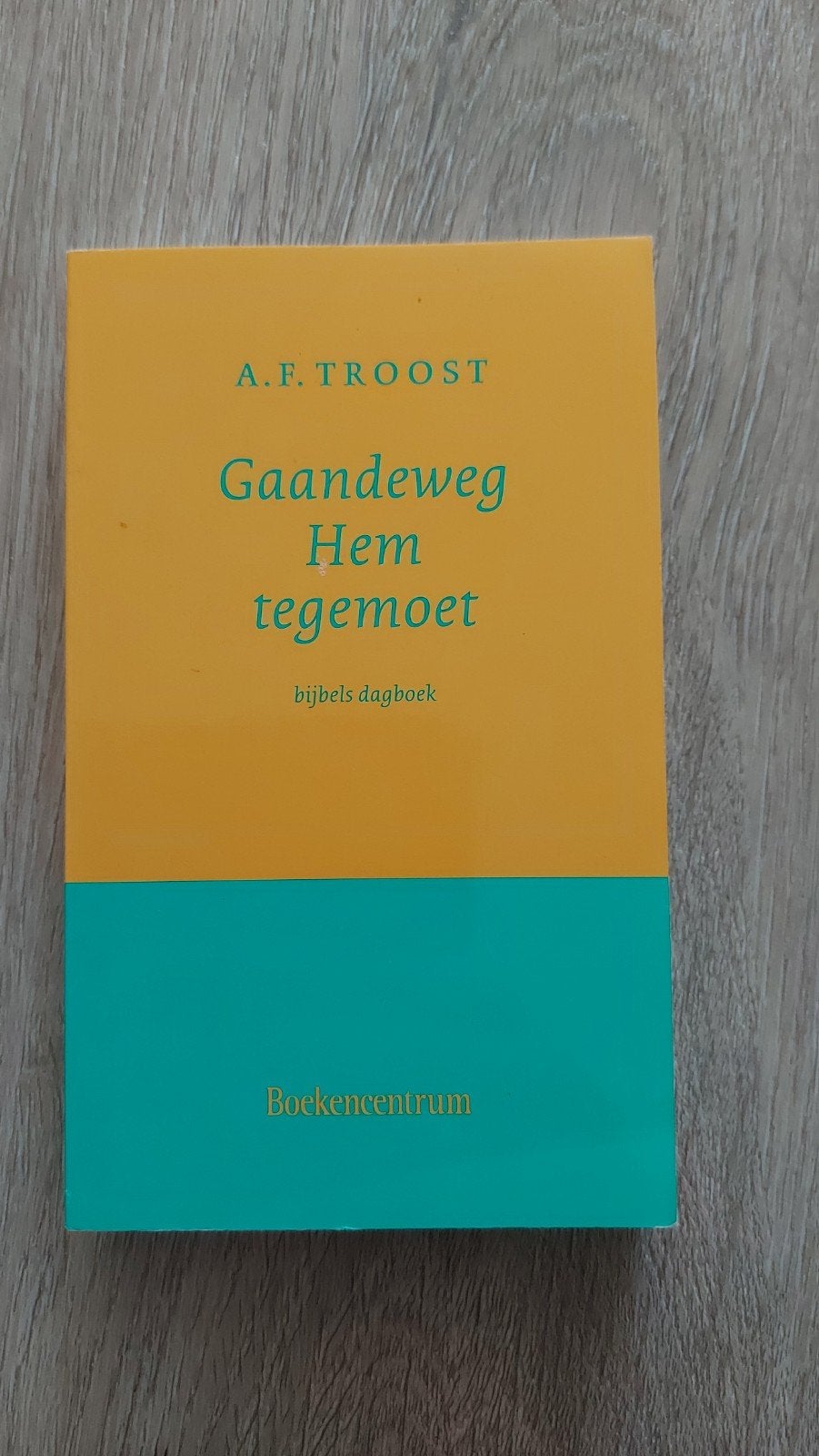 H11: Gaandeweg Hem tegemoet - Bijbels dagboek A.F. Troost, Ophalen of Verzenden, Gelezen, A.F. Troost, Christendom | Protestants