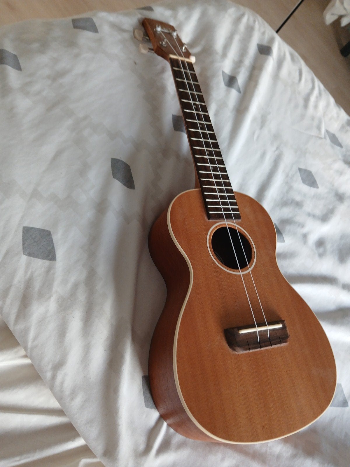 Splinternieuwe Professionele Luxe Ukelele (Winkelwaarde €230, Muziek en Instrumenten, Ophalen, Nieuw, Overige typen