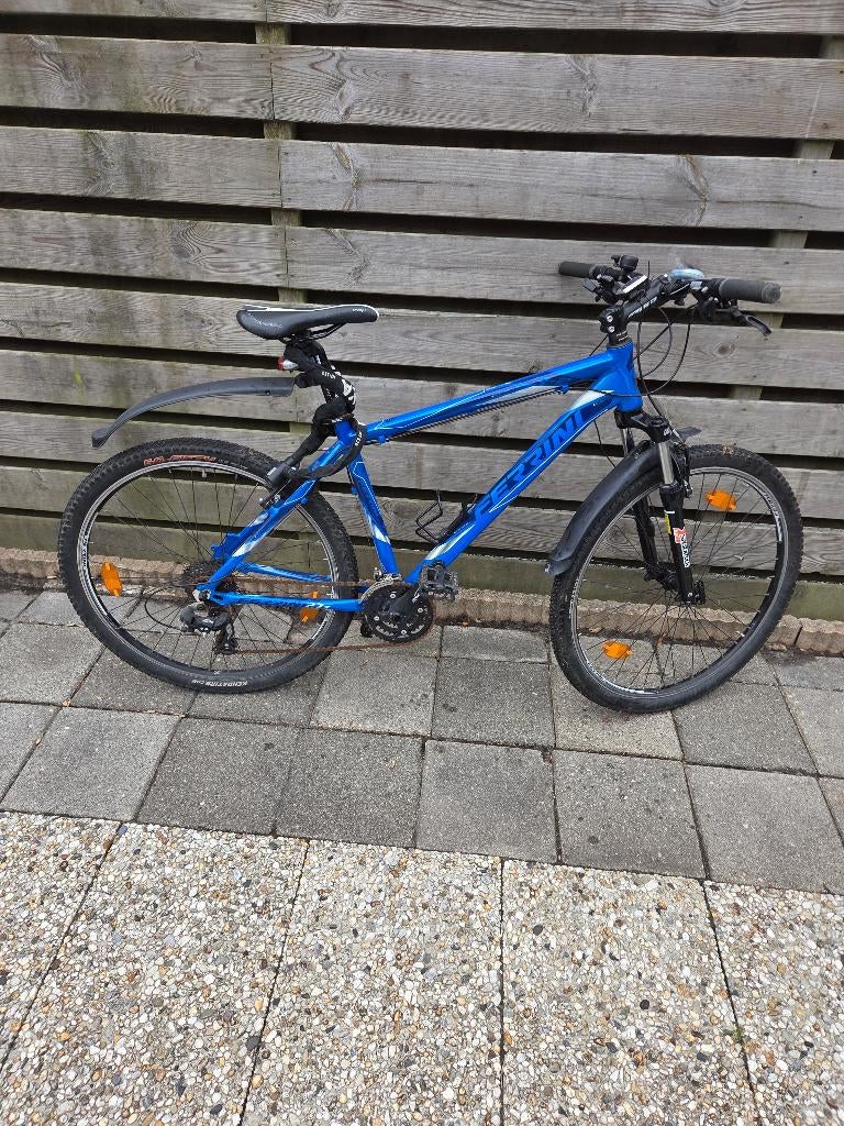 Ferrini Mountainbike, Fietsen en Brommers, Ophalen, Gebruikt, Heren, Overige merken