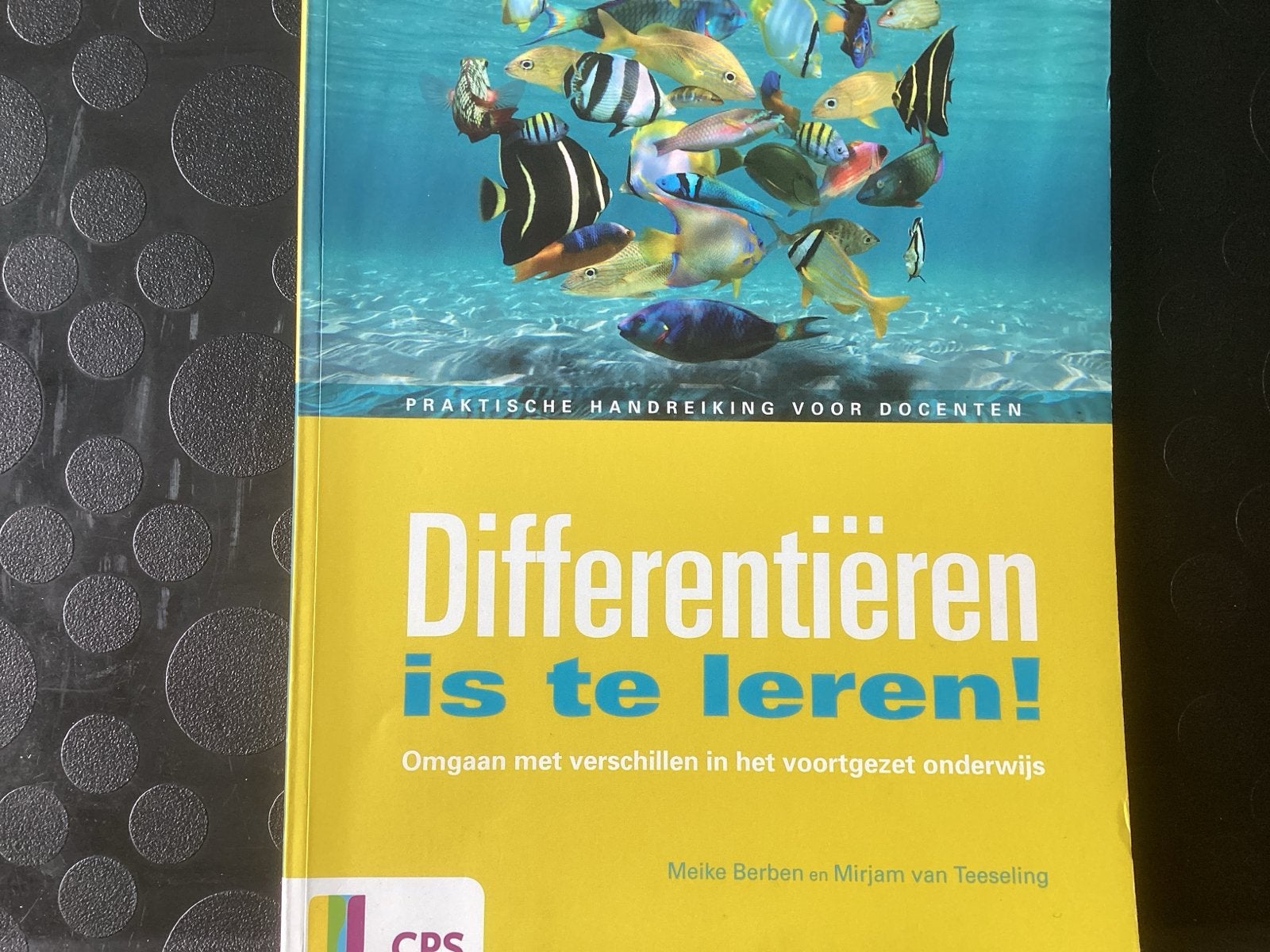 Mirjam van Teeseling - Differentieren is te leren!, Boeken, Sociale wetenschap, Ophalen of Verzenden, Zo goed als nieuw, Mirjam van Teeseling; Meike Berben