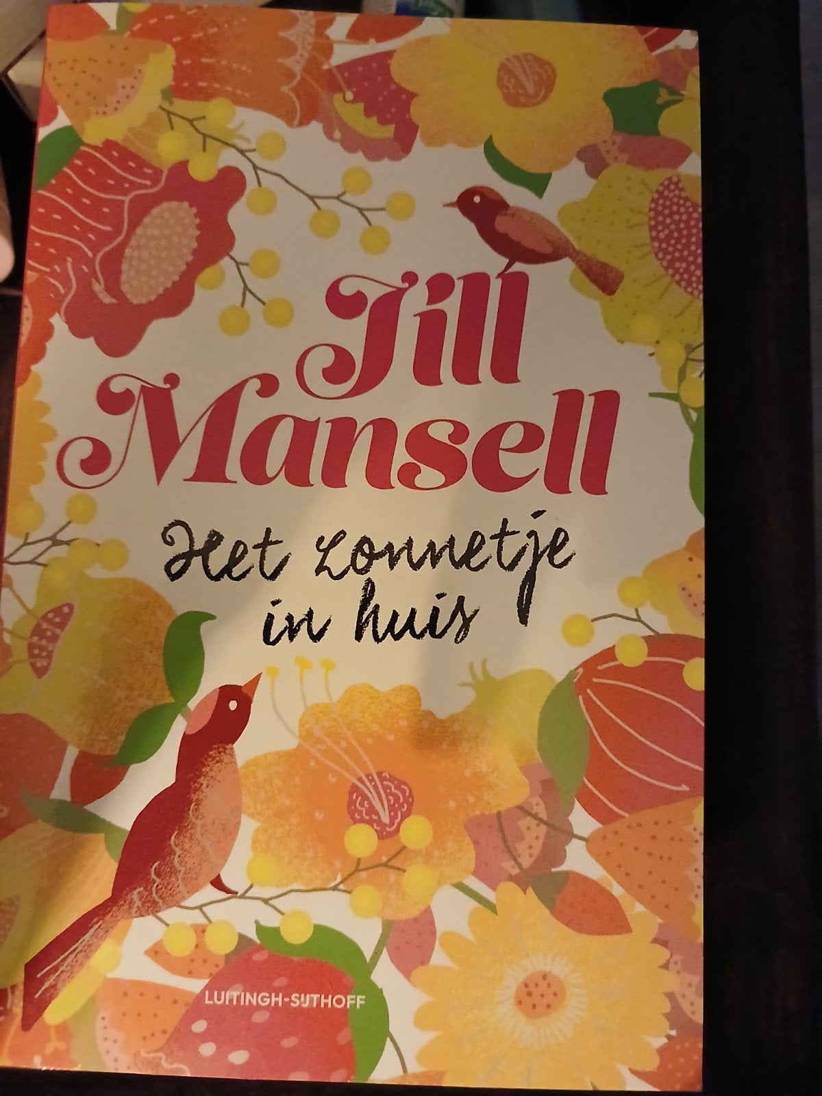 jill Mansell Het zonnetje in huis, Boeken, Ophalen of Verzenden, Zo goed als nieuw