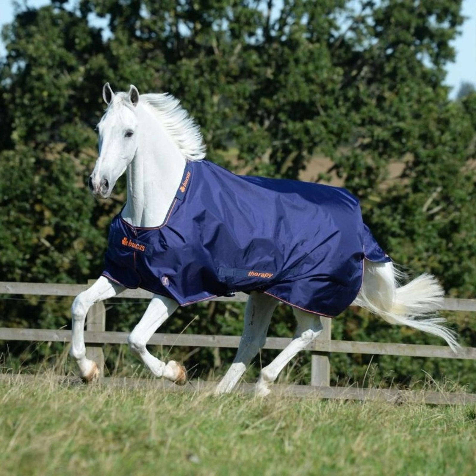 Bucas Therapie Turnout deken Medium 145 - 195 6’6”, Ophalen of Verzenden, Nieuw