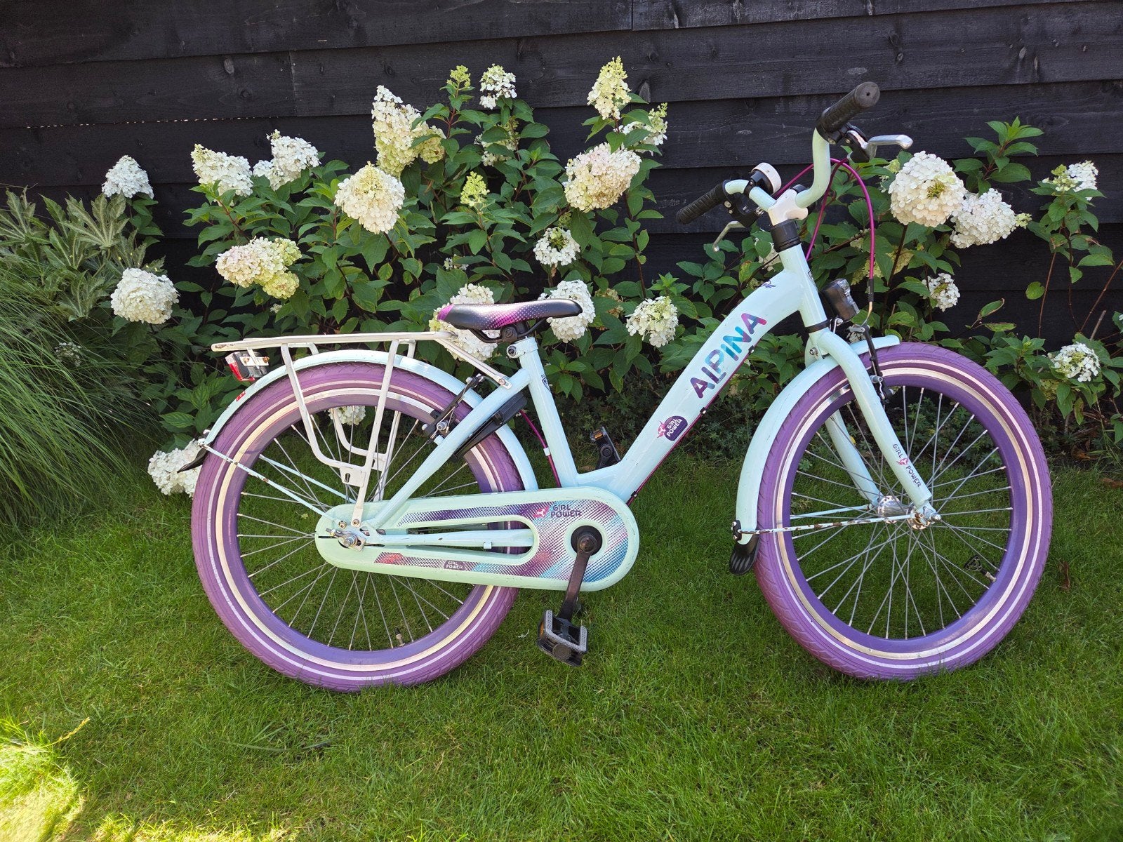 Alpina Girl Power fiets 20 inch - Uitstekend rijdend, Ophalen, Gebruikt, Velgrem, Alpina