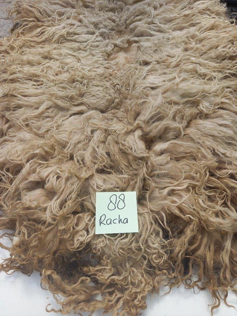 nr 88 Geschoren vacht van een Racka, Ophalen of Verzenden, Nieuw