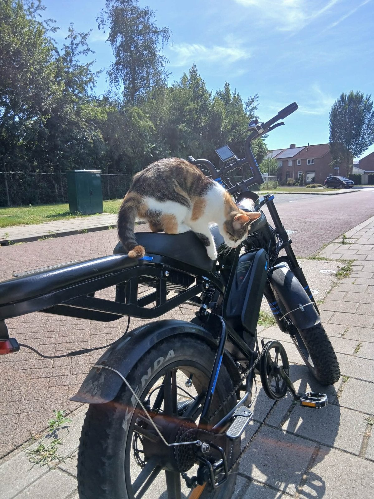 Fatbike, Ophalen, Gebruikt, Overige merken