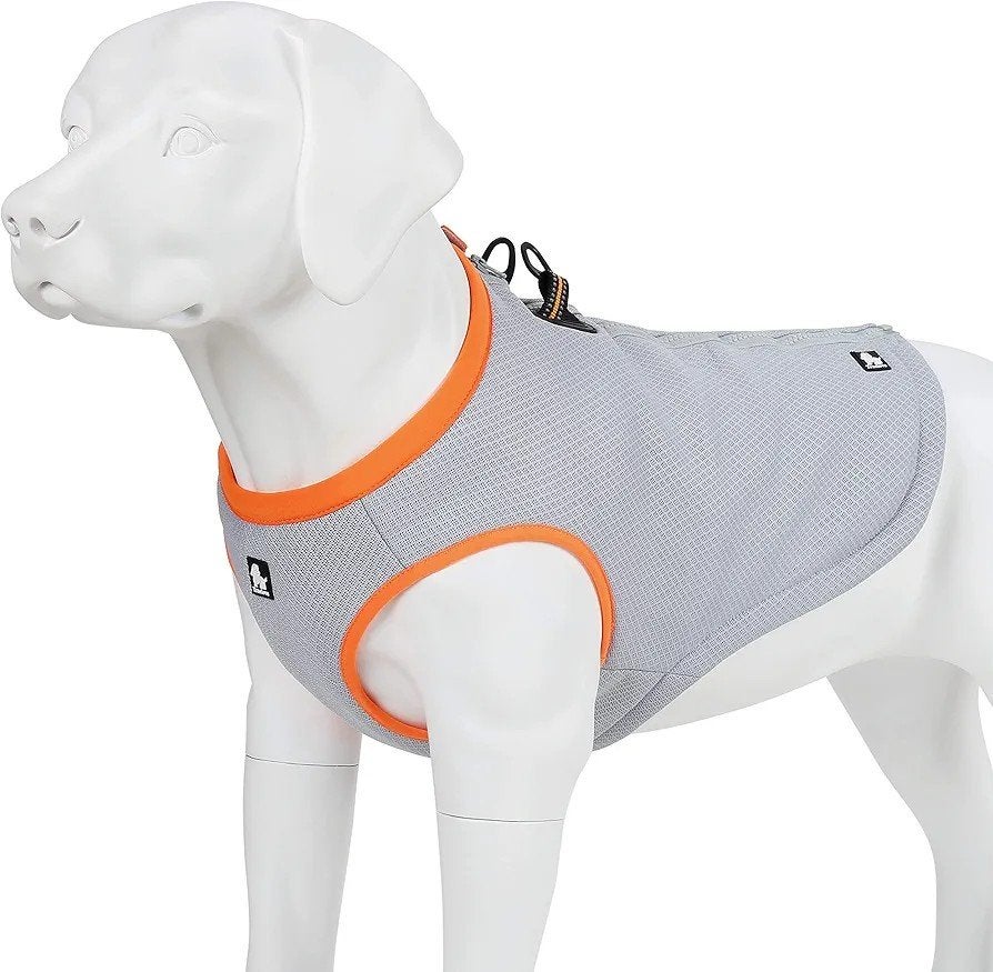 Koelvest hond / franse bulldog splinternieuw M, Dieren en Toebehoren, Honden-accessoires, Nieuw, Ophalen of Verzenden