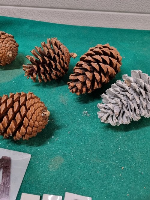 -	kerststukjes materiaal dennenappels noten, Diversen, Ophalen of Verzenden, 'T Olde Gre-j, Info@toldegrej.nl, Endepoelstraat 20f Didam