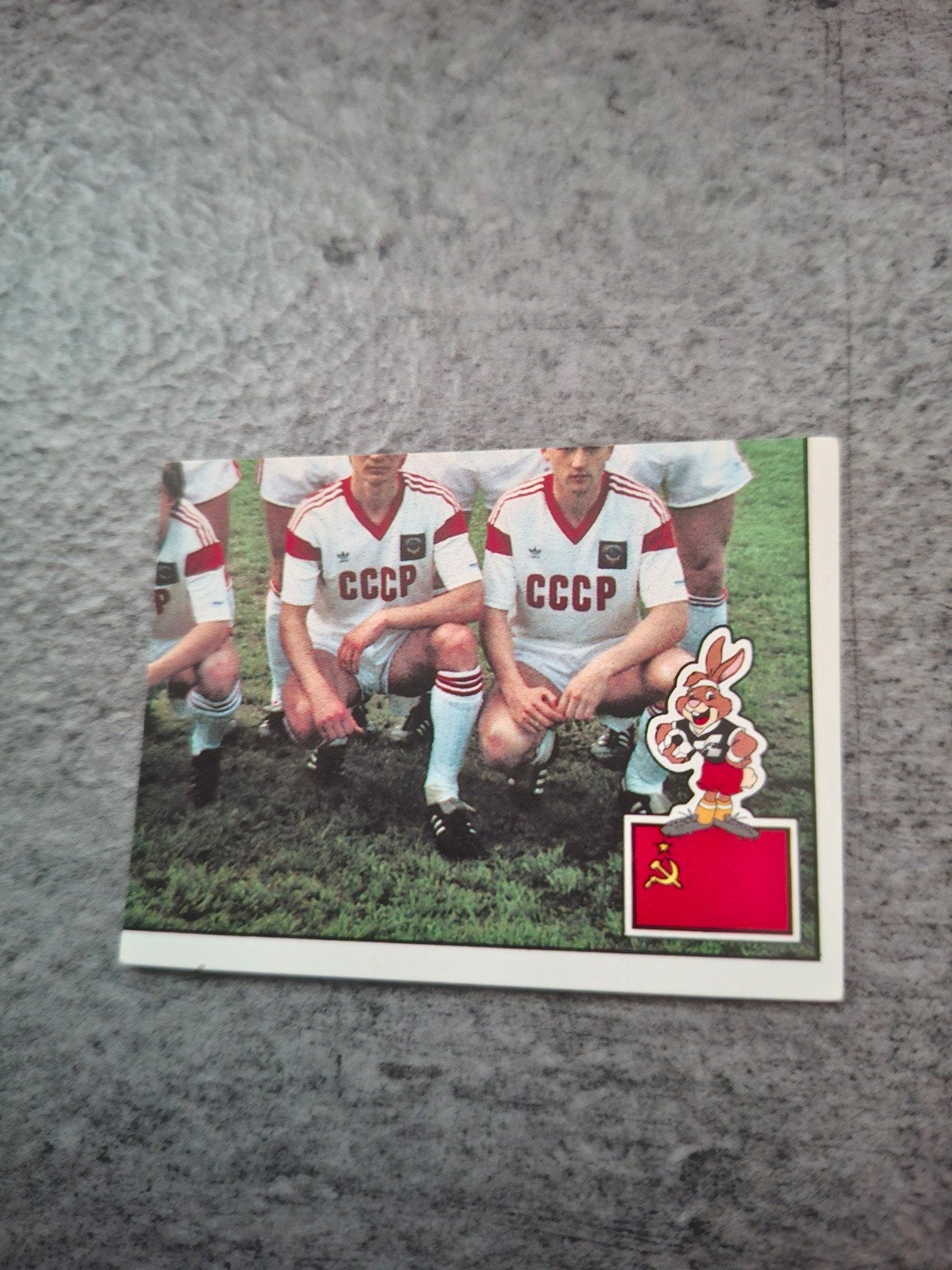 Panini sticker Euro 88 Duitsland. Deel elftalfoto SSSR., Ophalen of Verzenden, Zo goed als nieuw, Sticker