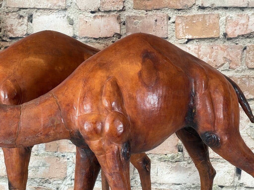 Vintage Kamelen Sculptuur bij TheReSales, Ophalen, Overige onderwerpen, 50 - 100 cm, Beeld