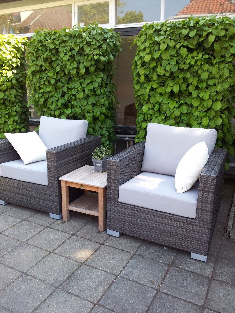 2 stuks LOUNCHESTOELEN, Zo goed als nieuw, Loungeset, Wicker, Stoel