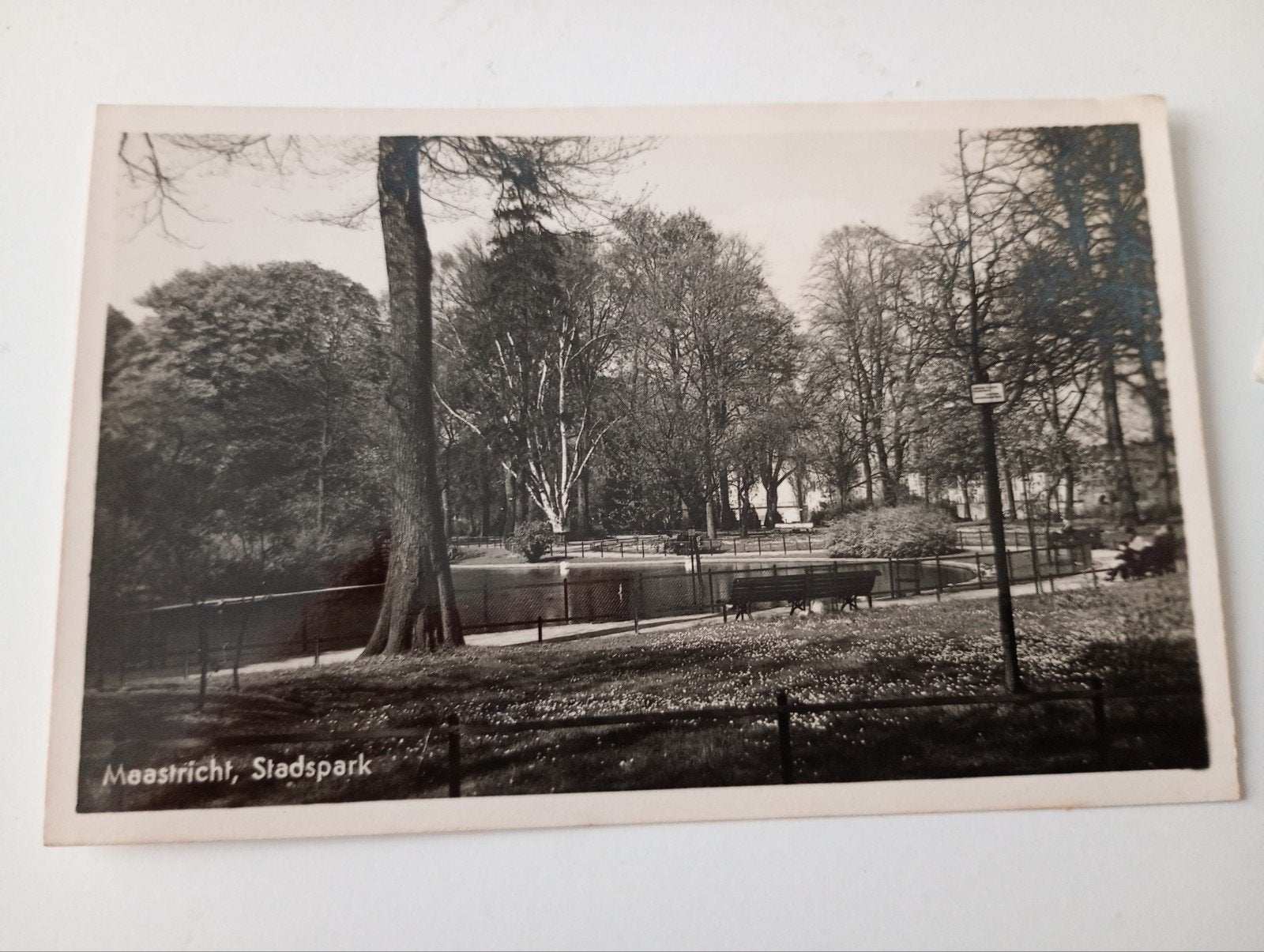 Maastricht Stadspark, Verzamelen, Ophalen of Verzenden, 1920 tot 1940, Ongelopen, Limburg