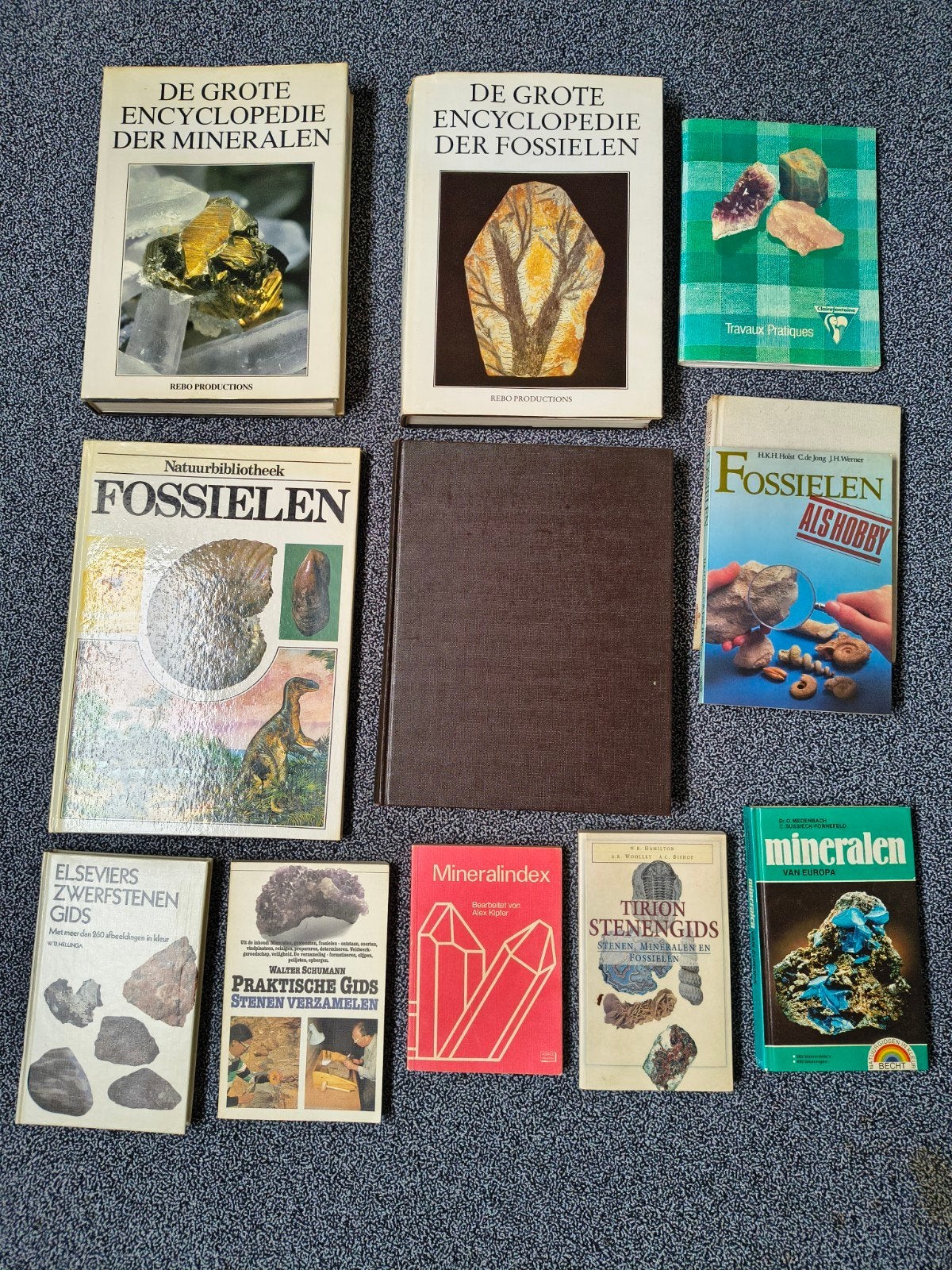 Collectie van 12 boeken over fossielen, stenen en mineralen, Ophalen of Verzenden, Overige typen