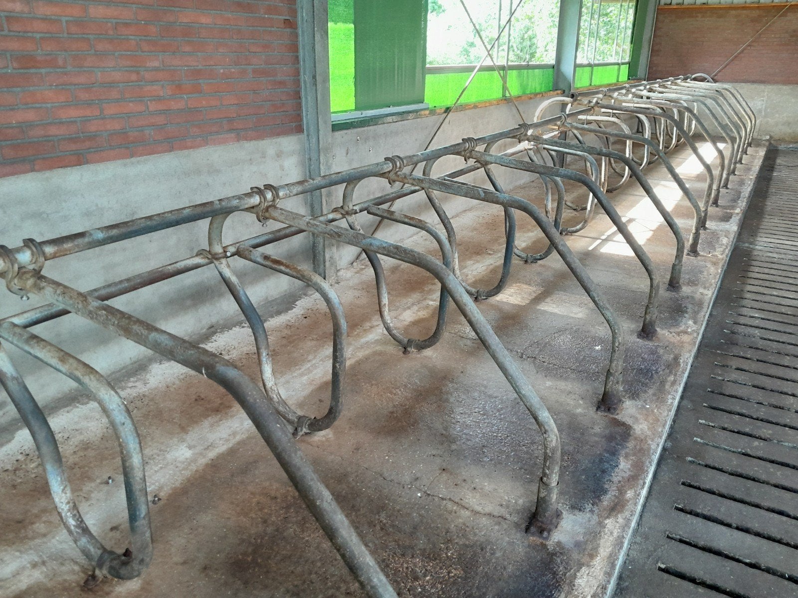 Driehoek jongveeligboxen te koop