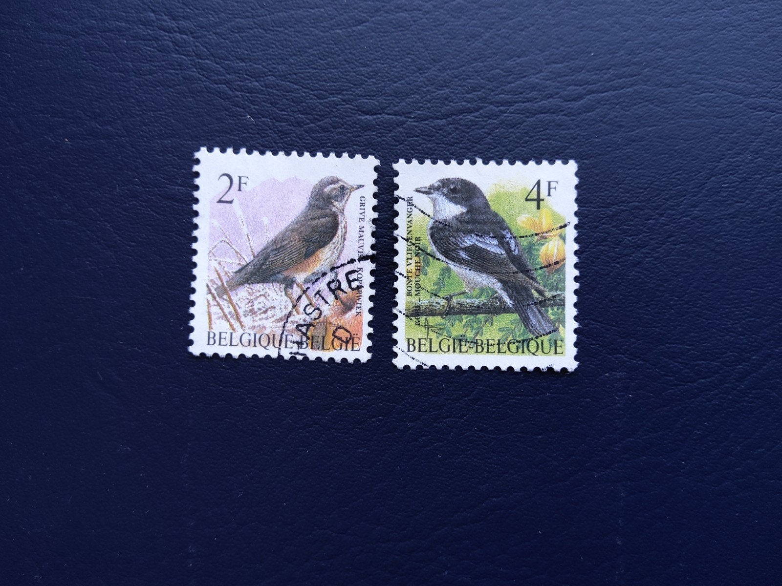 Belgische postzegels met vogels - Gestempeld, Ophalen of Verzenden, Gestempeld