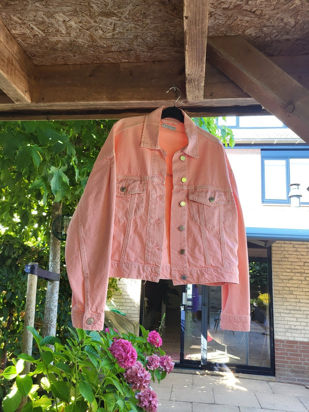 jasje, Kleding | Dames, Ophalen of Verzenden, Nieuw, Roze