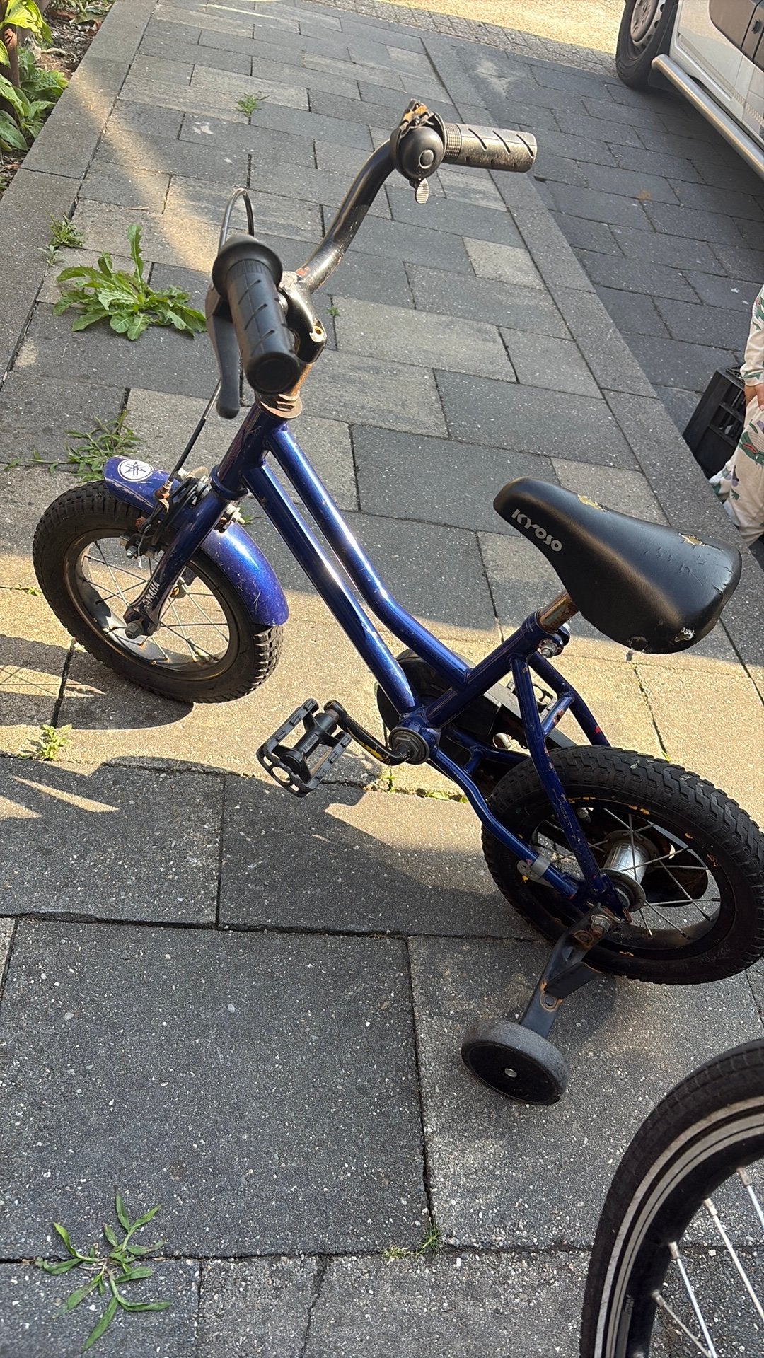 Kinder fiets, Ophalen, Terugtraprem, Zijwieltjes, Gebruikt