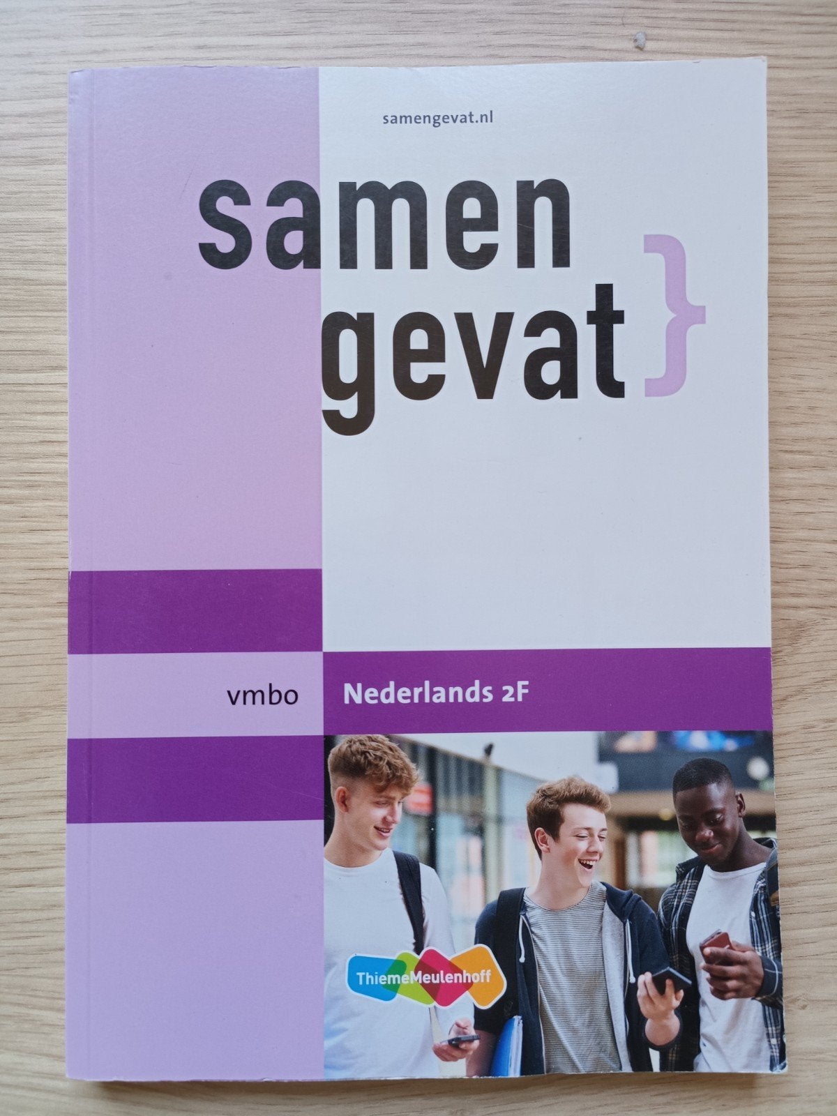 Samengevat vmbo Nederlands 2F - ThiemeMeulenhoff, Boeken, Schoolboeken, Ophalen of Verzenden, Zo goed als nieuw, VMBO, Nederlands