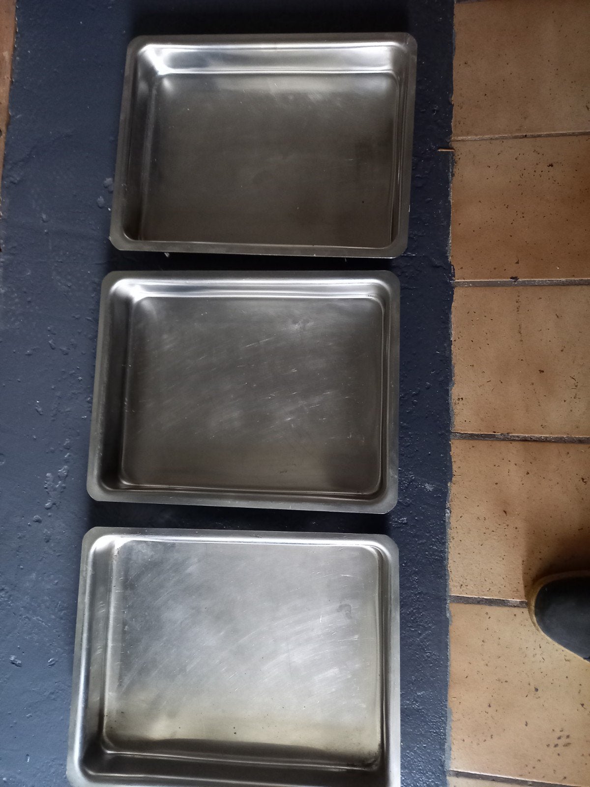 Pujadas roestvrij ovenschalen, Ophalen of Verzenden, Zo goed als nieuw, Rechthoekig, Riet