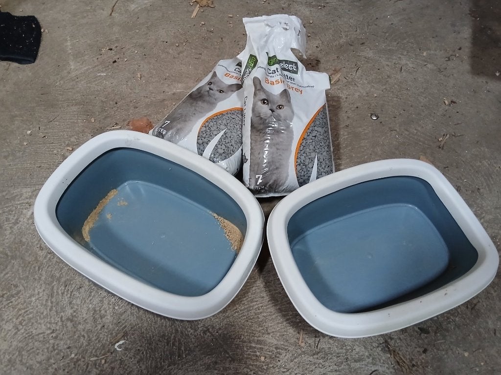 Gratis katten accessoires, Dieren en Toebehoren, Katten-accessoires, Ophalen, Gebruikt