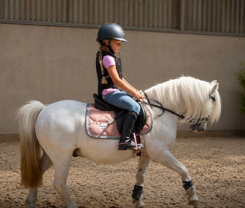 Super fijne en knappe B welsh kinderpony, Ruin, Dressuurpony, B pony (1.17m tot 1.27m), 11 jaar of ouder