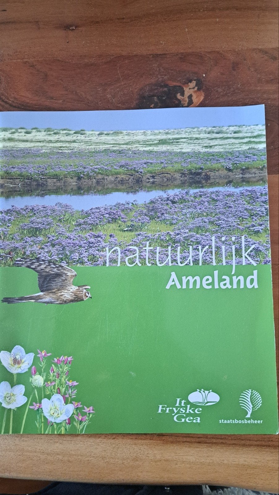 Natuurlijk Ameland - It Fryske Gea Staatsbosbeheer, Ophalen of Verzenden, Zo goed als nieuw, Natuur algemeen, It Fryske Gea / Staatsbosbeheer