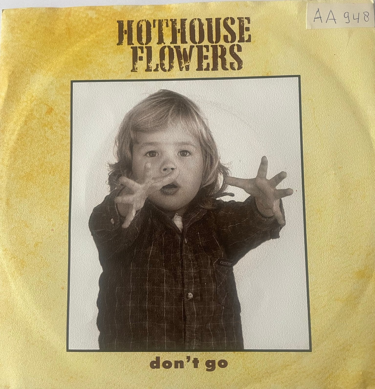 Hothouse Flowers - Don’t go, Cd's en Dvd's, Ophalen of Verzenden, Zo goed als nieuw, Pop