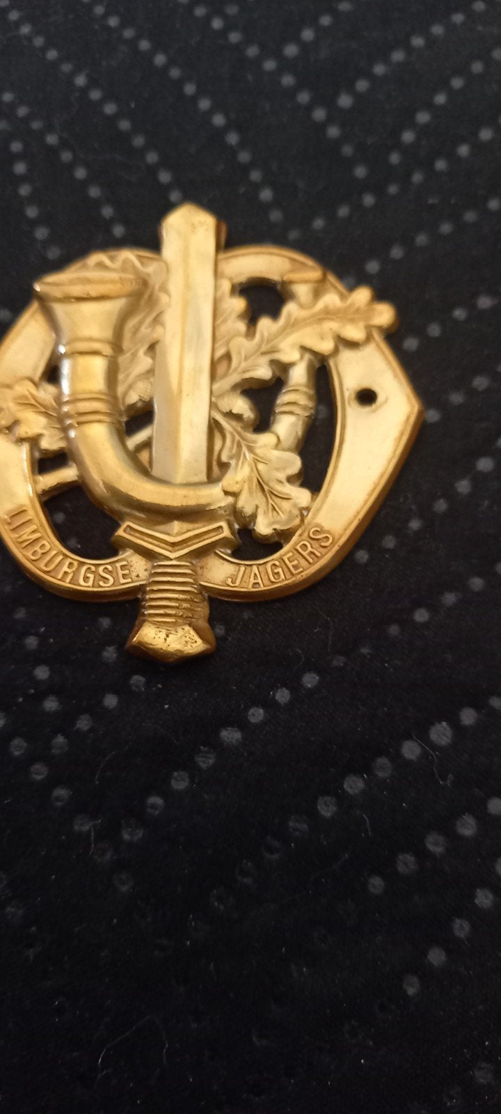 Insigne Limburgse Jagers, Verzamelen, Ophalen of Verzenden, Landmacht, Nederland, Embleem of Badge