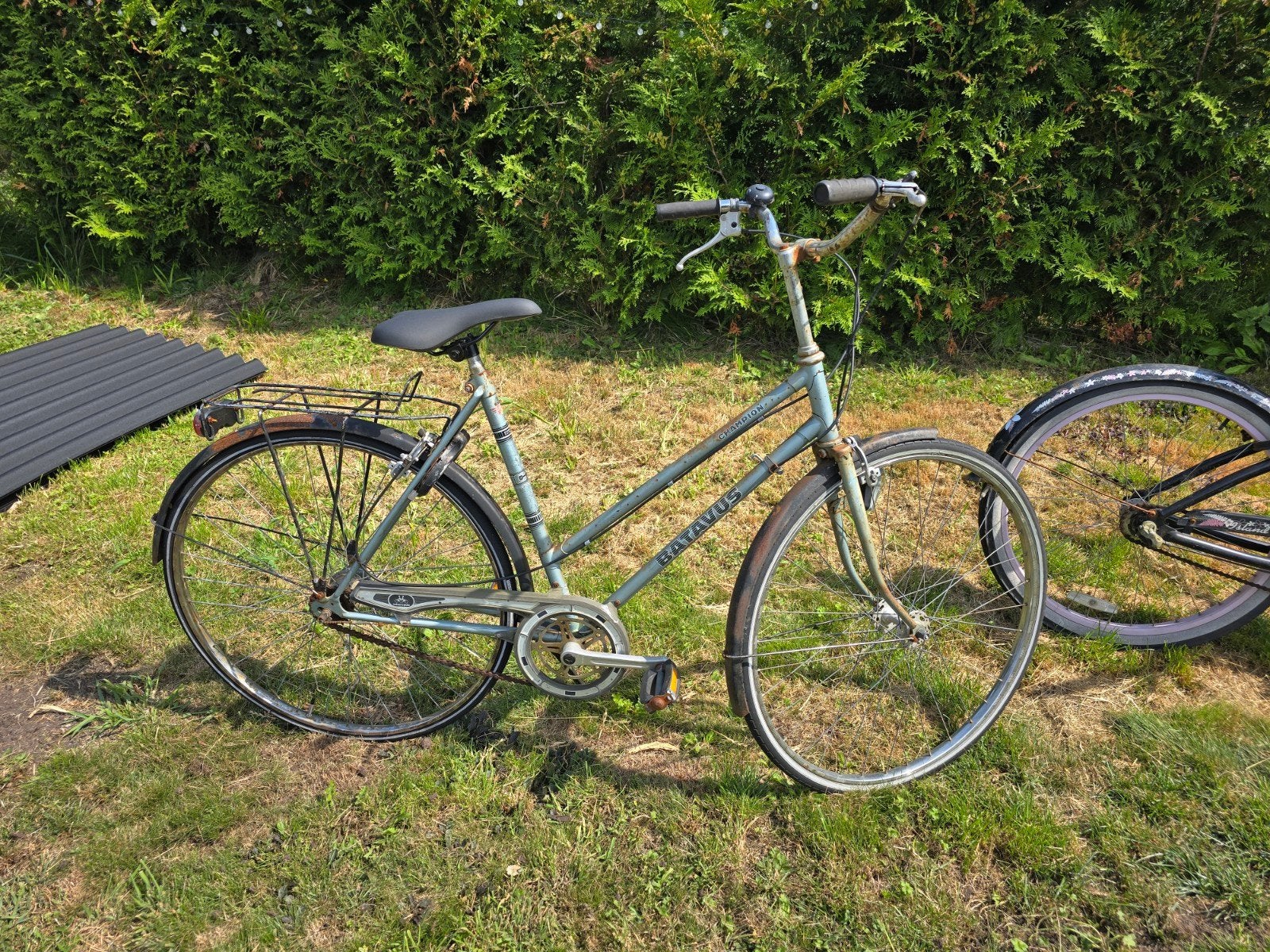 Batavus Champion damesfiets - opknapper, Ophalen, Velgrem, Versnellingen, Batavus