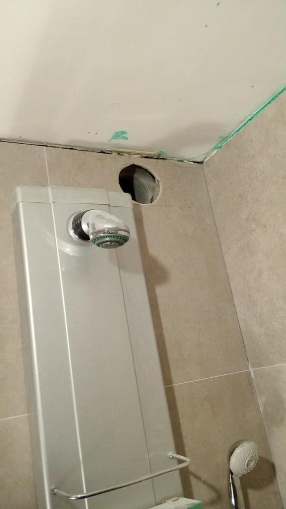 Douchepaneel met regendouche en handdouche, Ophalen of Verzenden, Gebruikt, Douche