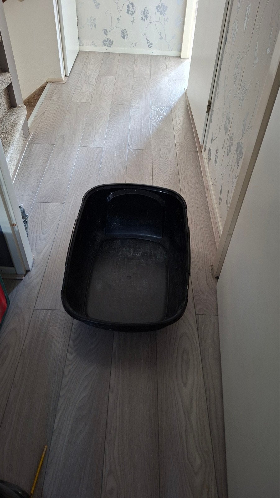 Kattenbak, Ophalen of Verzenden