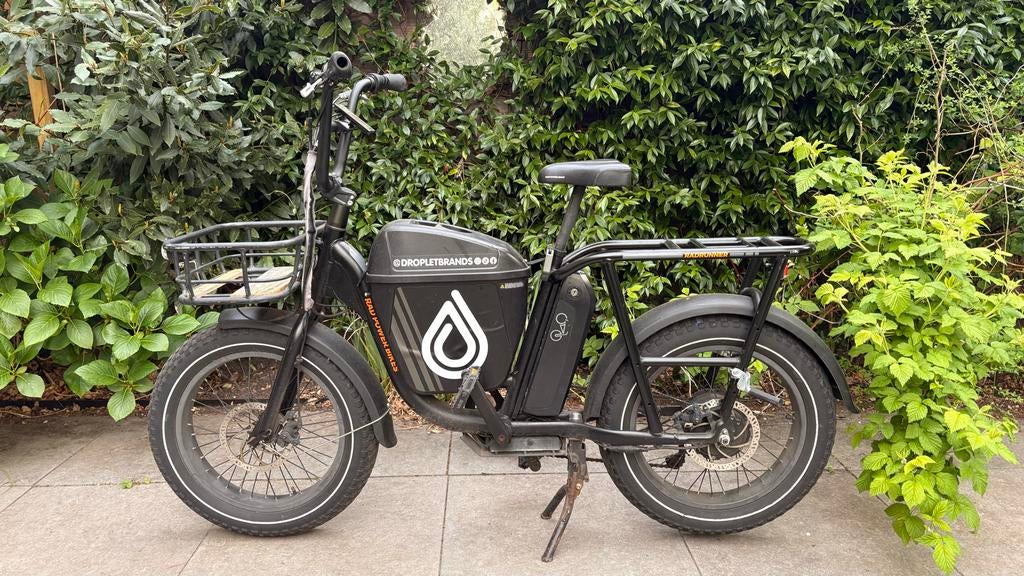 Rad Power Bikes RadRunner, Fietsen en Brommers, Elektrische fietsen, Overige merken, Gebruikt, Ophalen of Verzenden, Minder dan 47 cm