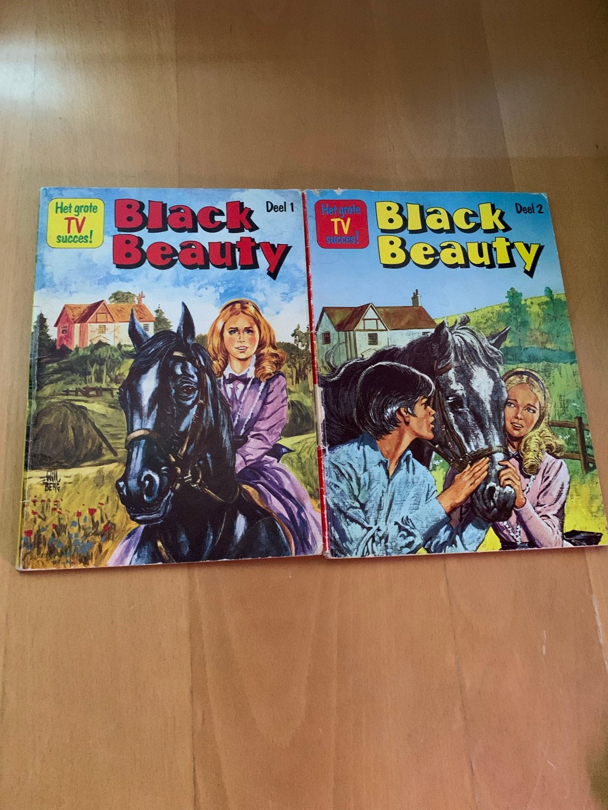 Black Beauty Deel 1 & 2 - Het grote TV succes!, Boeken, Ophalen, Gelezen