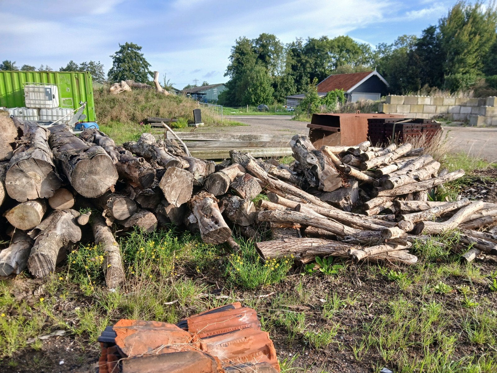 Diverse houtblokken en takken voor brandhout, 6 m³ of meer, Ophalen, Overige houtsoorten, Blokken
