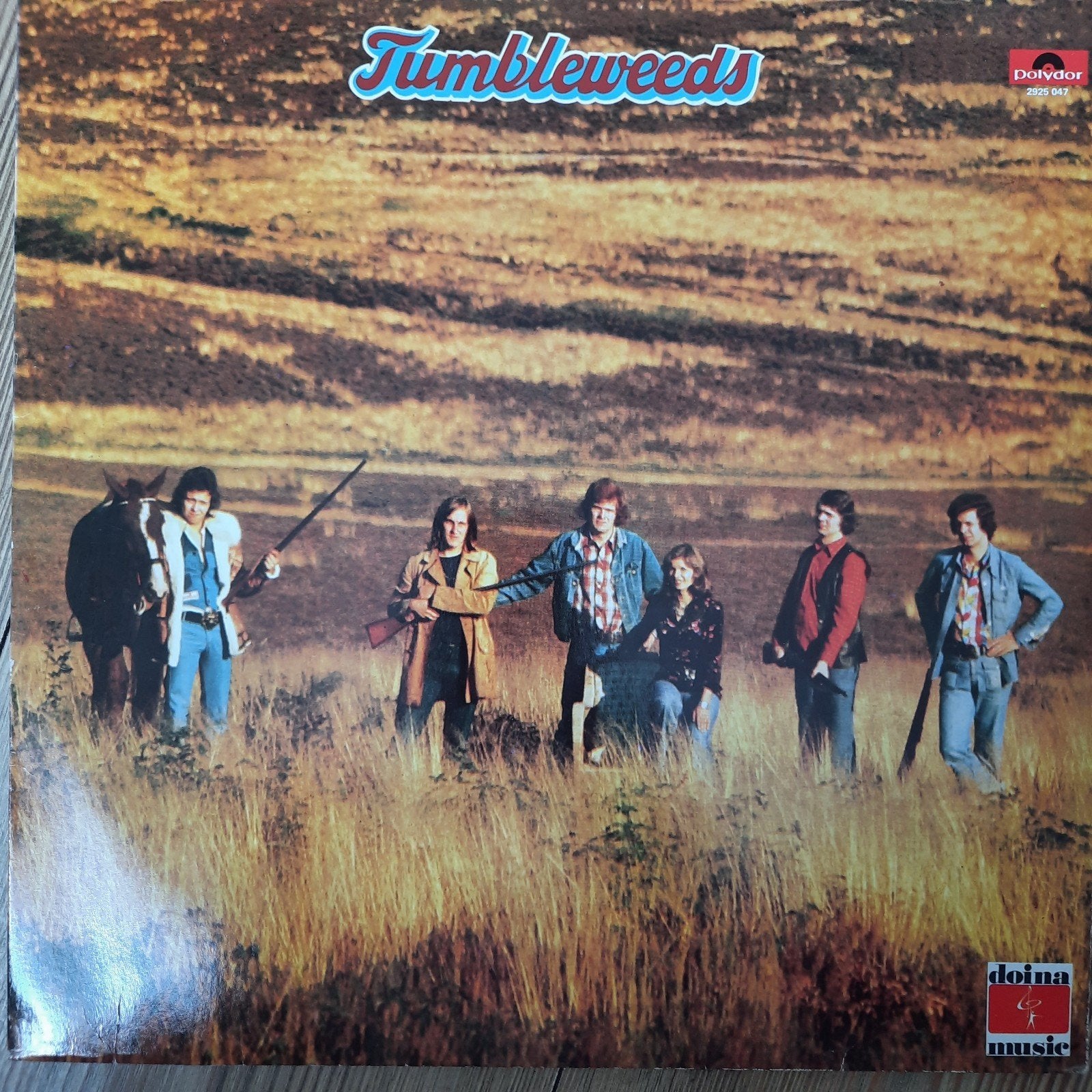 LP Tumbleweeds - Tumbleweeds, Cd's en Dvd's, Vinyl | Country en Western, Ophalen of Verzenden, 12 inch, LP, Country