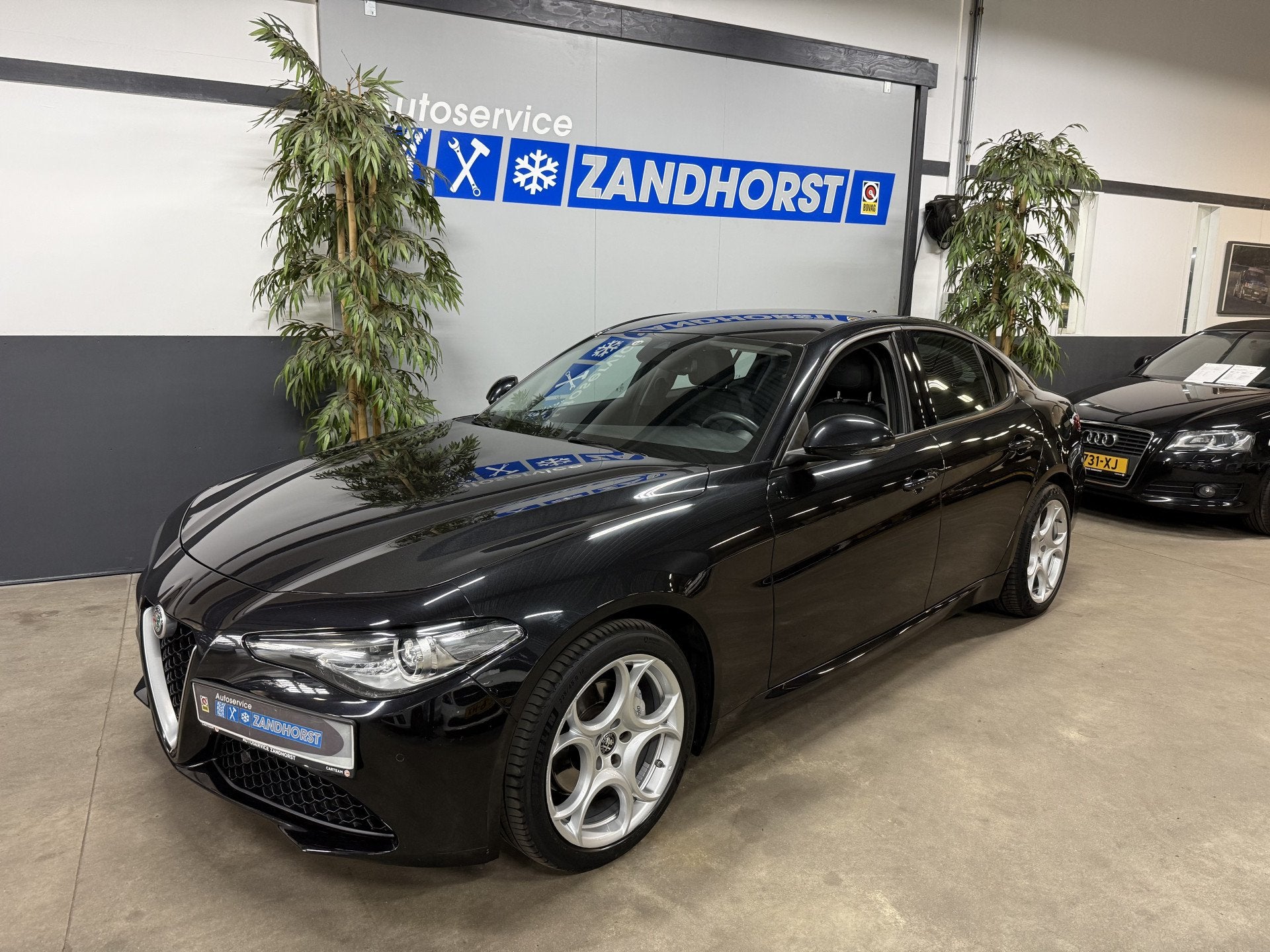 Alfa Romeo Giulia 2.0T // Camera // Adapt. Cruise (bj 2019), Auto's, Automaat, 745 kg, Achterwielaandrijving, Euro 6
