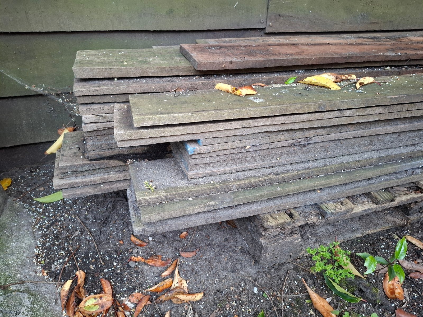 Hardhouten planken 40 stuks, Ophalen, Minder dan 25 mm, Plank, Minder dan 200 cm