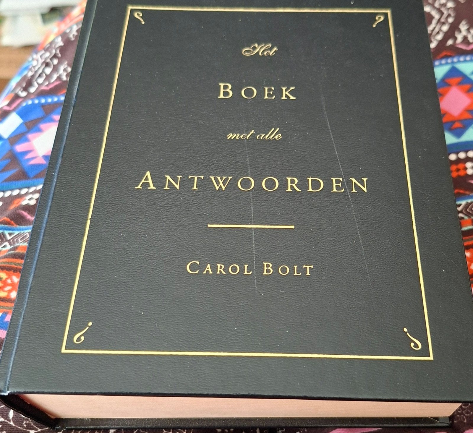 dik: het boek met alle antwoorden Carol Bolt kunstenares lg, Ophalen of Verzenden, Zo goed als nieuw, Overige typen