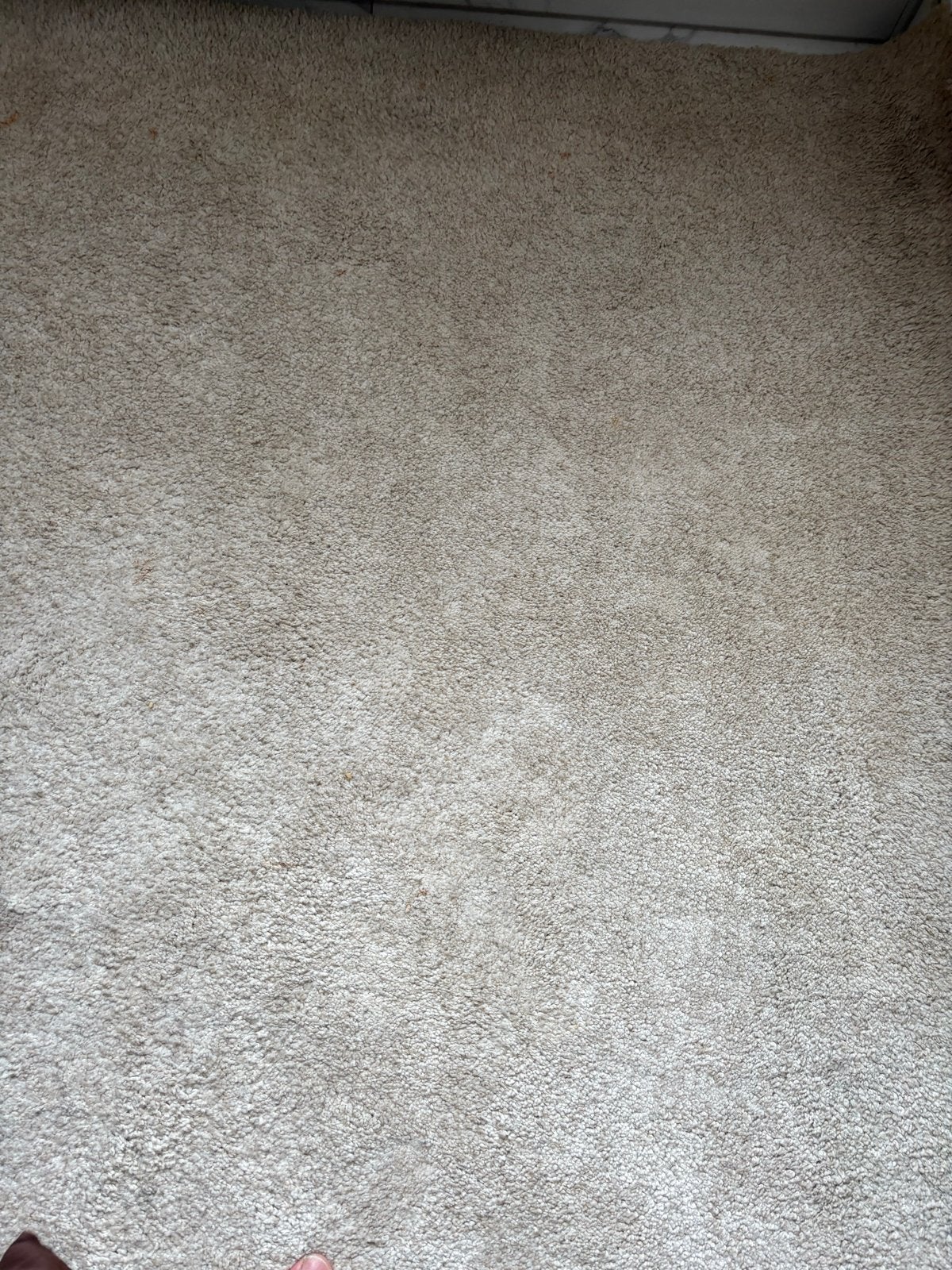 2 IKEA Stoense Vloerkleed - 170x240 cm - Beige/Crème, Gebruikt, Beige, 150 tot 200 cm, 200 cm of meer
