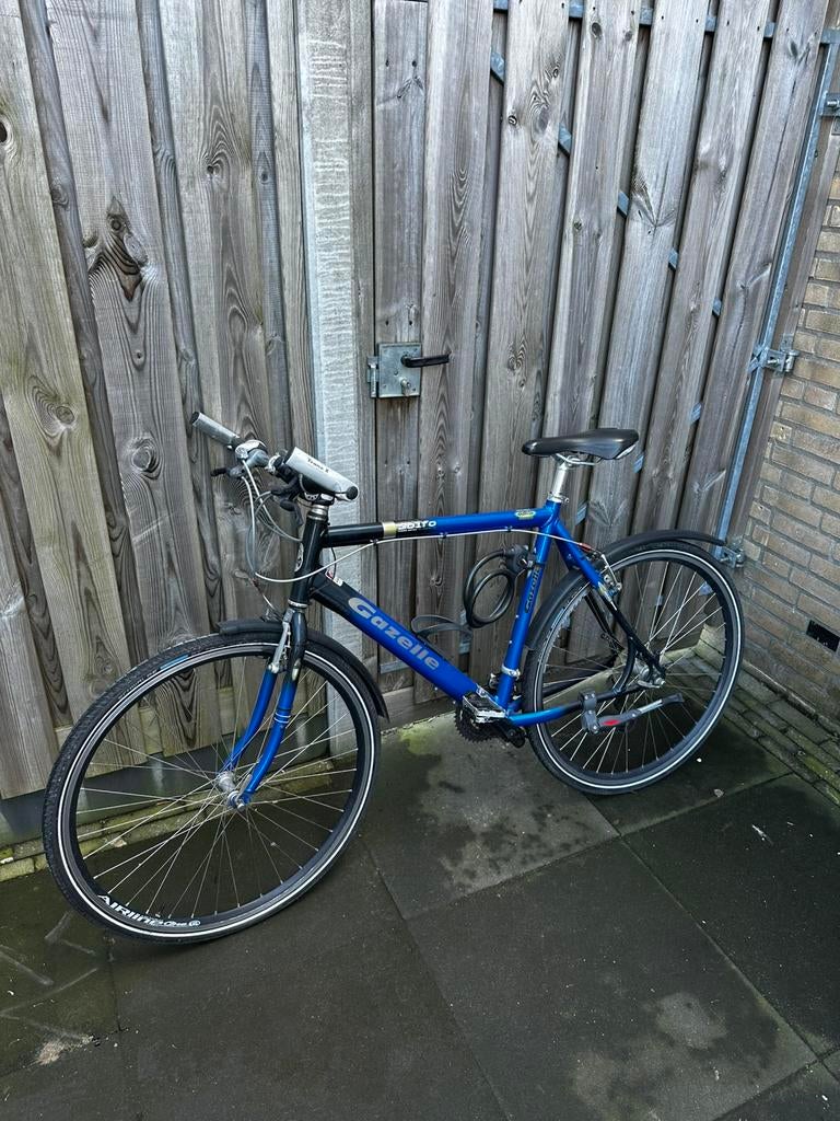 Mountainbike gazelle golfo, Fietsen en Brommers, Fietsen | Heren | Sportfietsen en Toerfietsen, Minder dan 10 versnellingen, Gebruikt