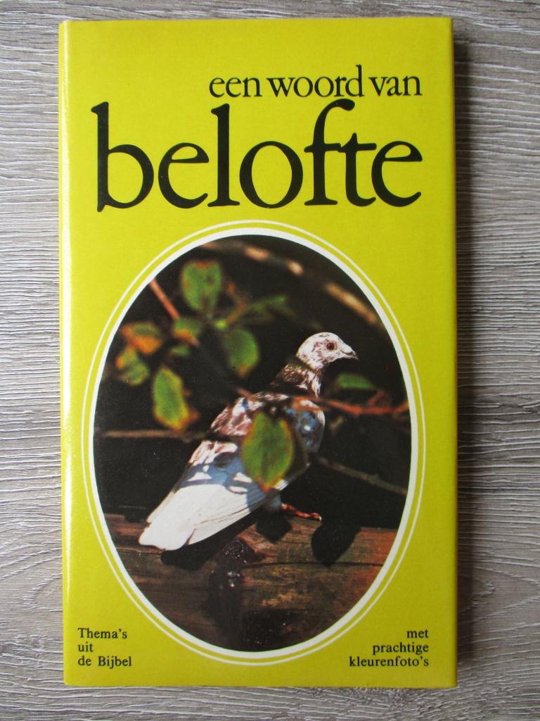 Een woord van belofte, Ophalen of Verzenden, Gelezen