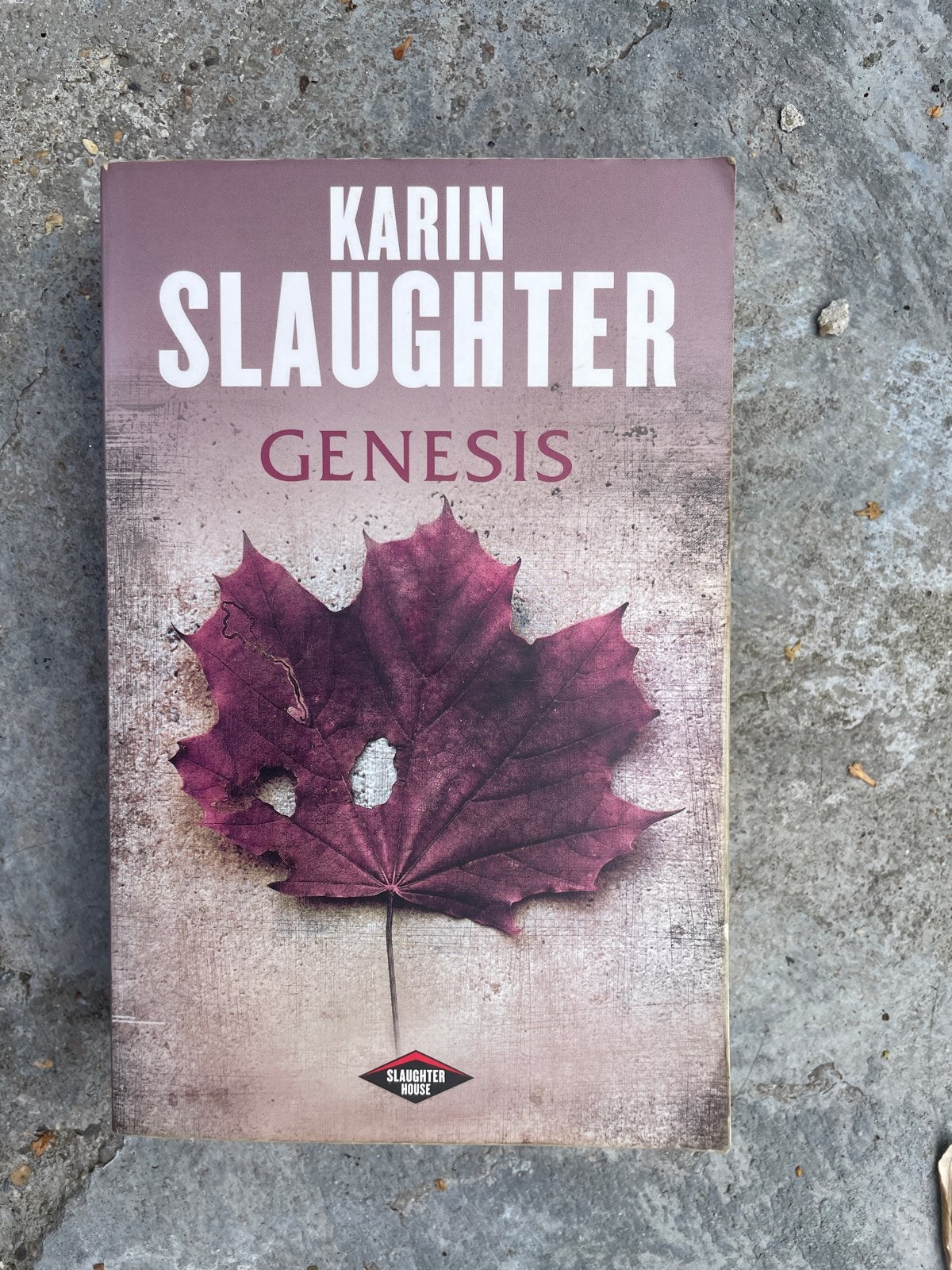 Karin Slaughter - Genesis (Thriller), Boeken, Ophalen of Verzenden, Gelezen, Amerika