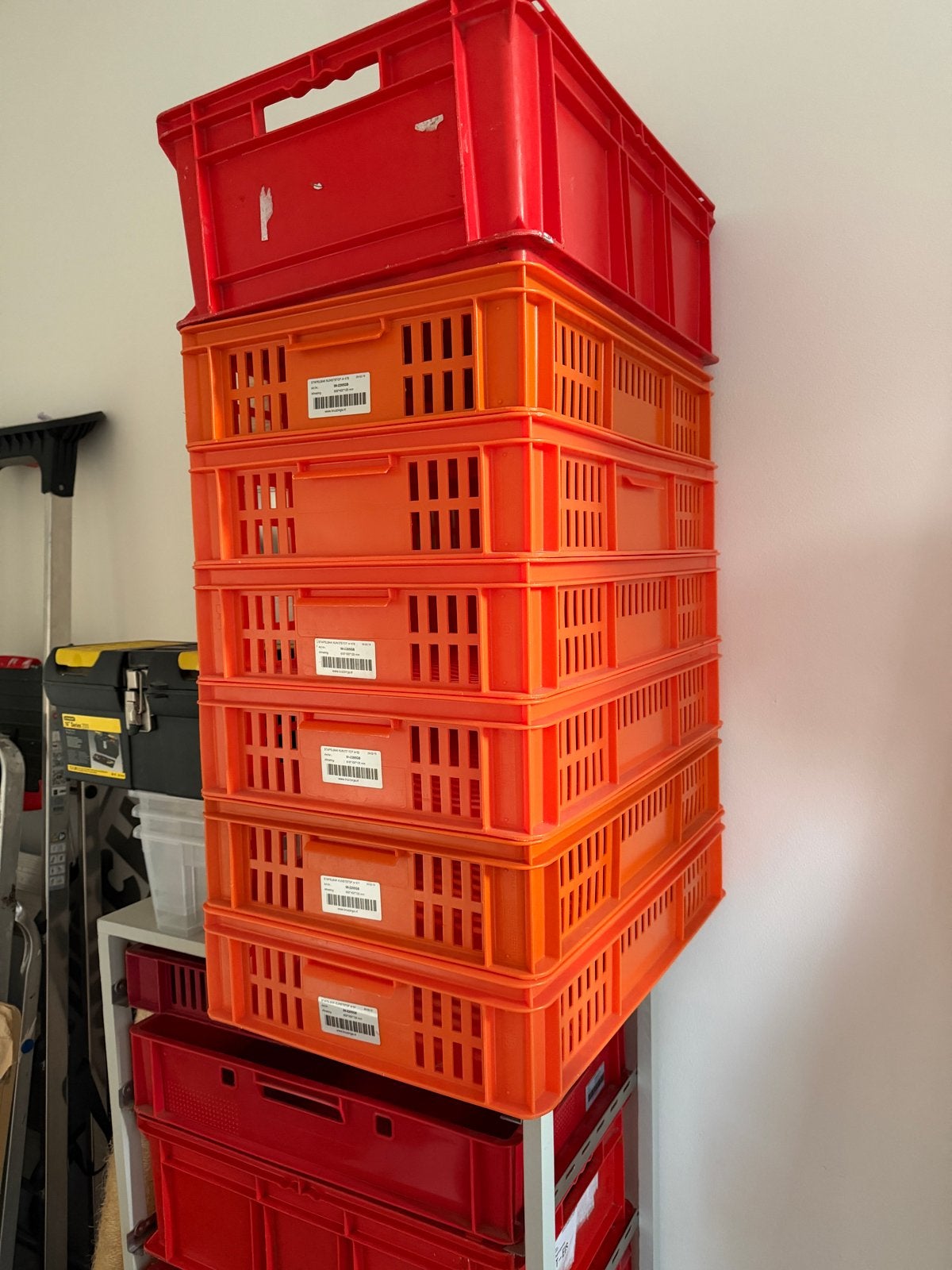 3 oranje euronorm kratten 60x40x11 cm, Doe-het-zelf en Verbouw, Kratten en Dozen, 40 tot 60 cm, 50 tot 75 cm, Minder dan 35 cm