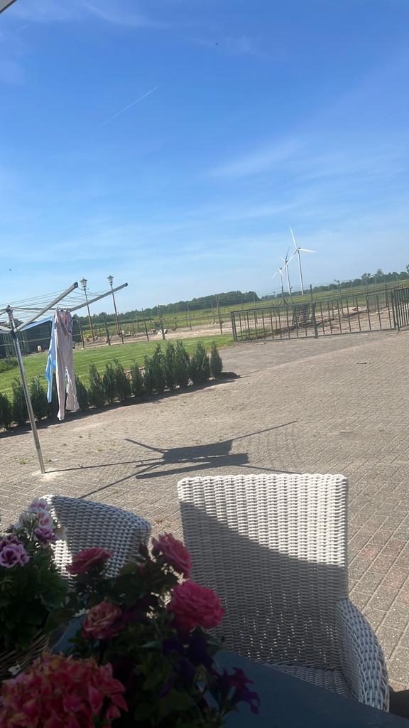 Slachtkippen aangeboden bruine t.e.a.b., Dieren en Toebehoren, Meerdere dieren, Kip
