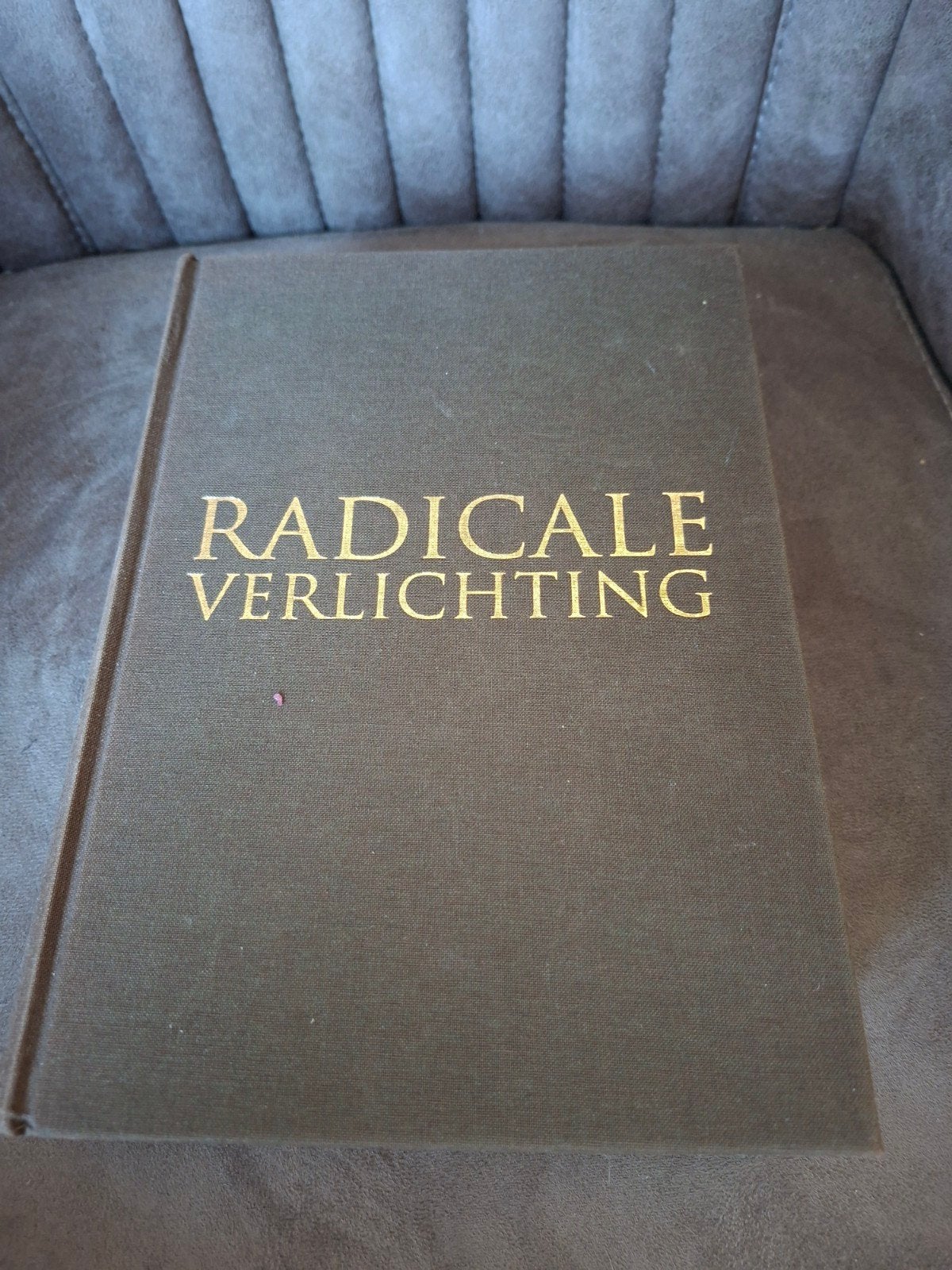 Radicale Verlichting - Jonathan I. Israel (Hardcover), Ophalen of Verzenden, Gelezen, Jonathan I. Israel, Nederland
