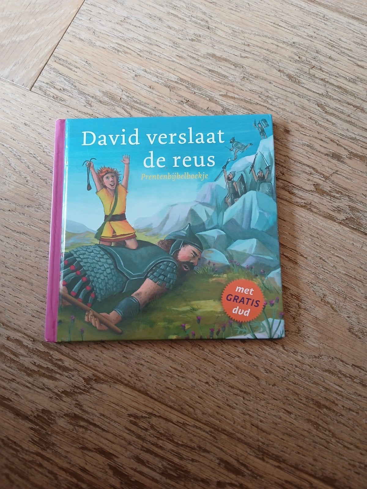 David verslaat de reus - Prentenbijbelboekje met DVD, 3 tot 4 jaar, Marijke ten Cate, Ophalen of Verzenden, Zo goed als nieuw