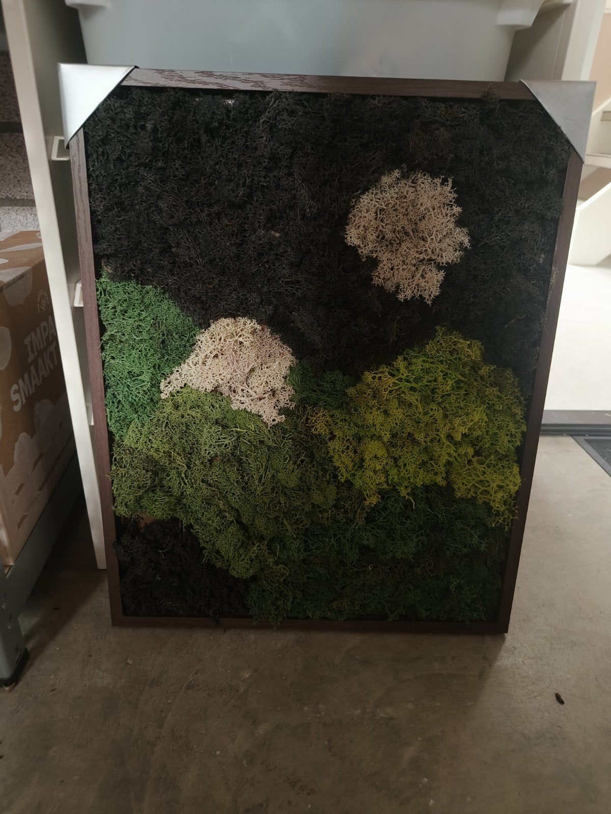 Zelfgemaakt mos kunstwerk, Antiek en Kunst, Ophalen of Verzenden