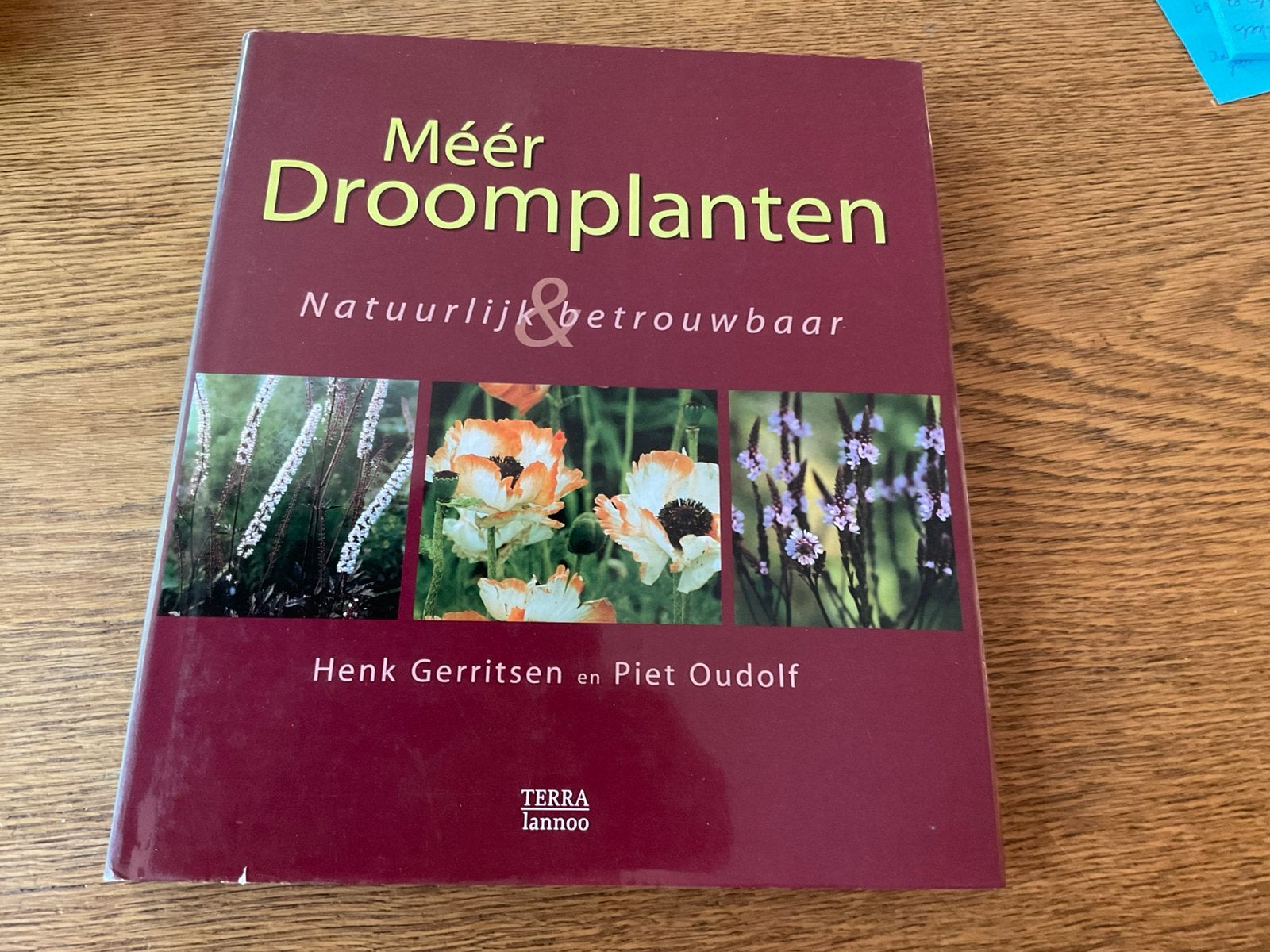 H. Gerritsen - Meer droomplanten, Boeken, Ophalen of Verzenden, Zo goed als nieuw, H. Gerritsen; Piet Oudolf